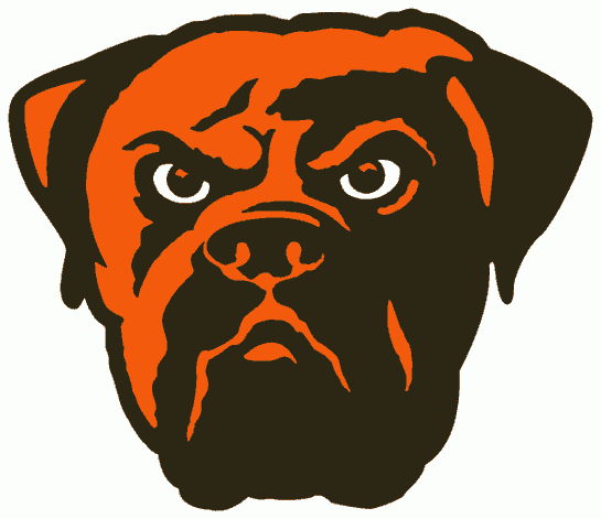 Cleveland Browns 2003-2014 Alternate Logo cricut iron on